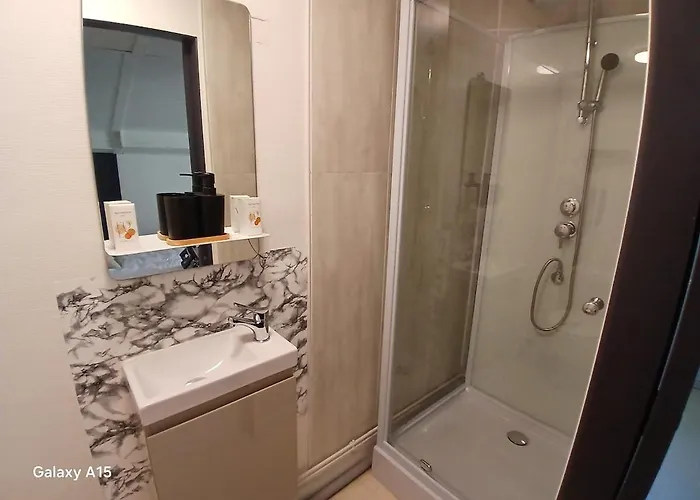 Coralie Apartment Saint-Flour (Cantal)